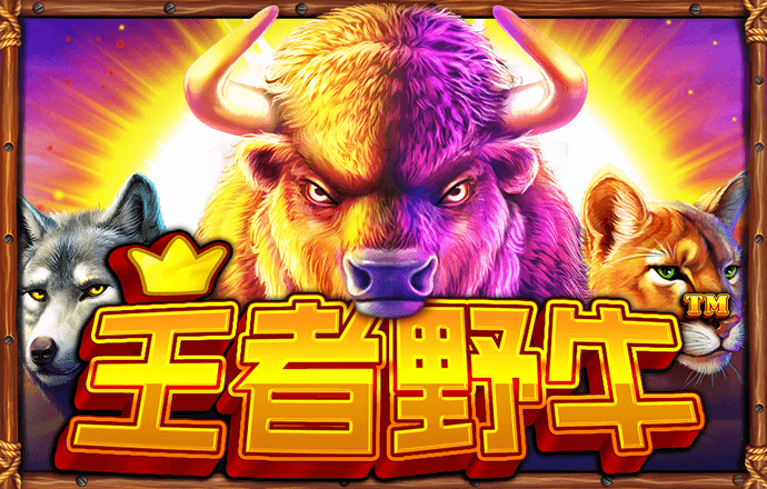 看球直播kq.cc app